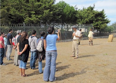 IMG_0018.JPG (47085 bytes)