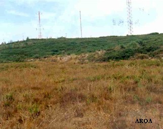 Vista geral da jazida.